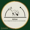 avatar_silvet